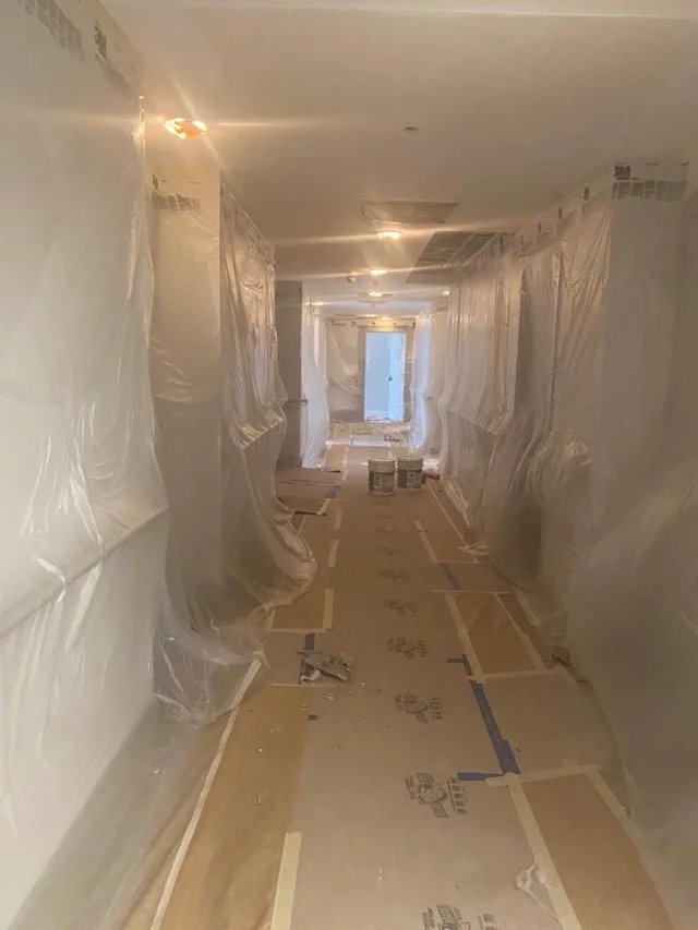 repaint project image