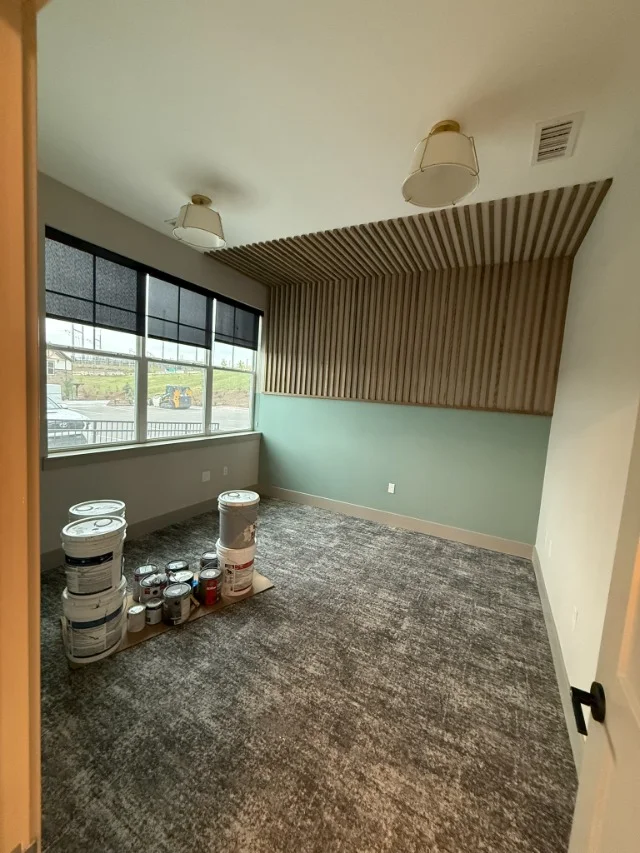 repaint project image