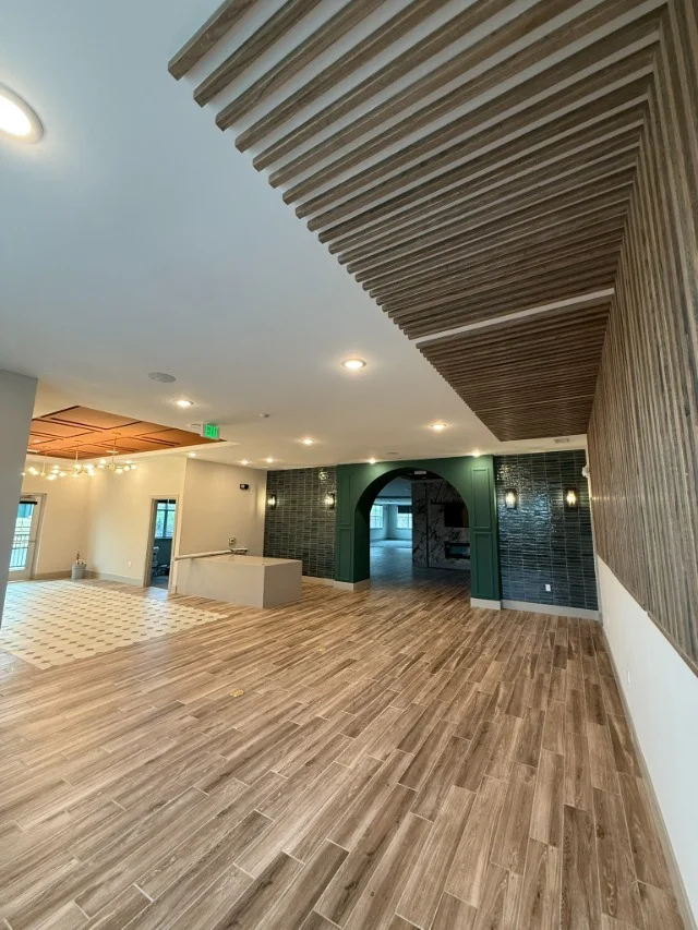 repaint project image